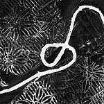 Mit Rubber Stamping hat das Stempeln längst einen festen Platz in der bildenden Kunst.