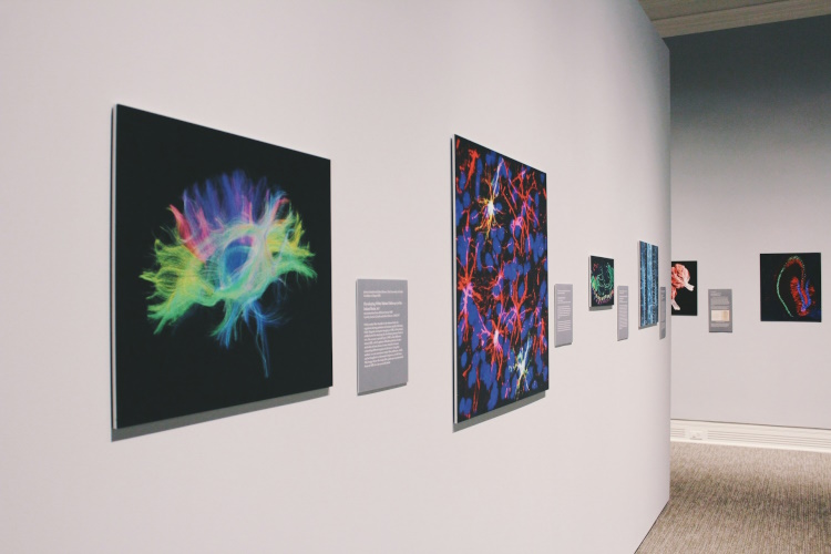 With the help of image legend and textual context, exhibitions become a journey of discovery and give visitors real knowledge gain.