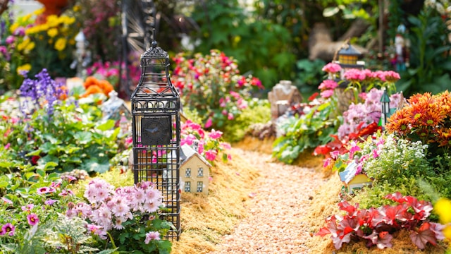 Pflanzen, die das ganze Jahr über blühen und wachsen, lassen einen Garten lebendig werden